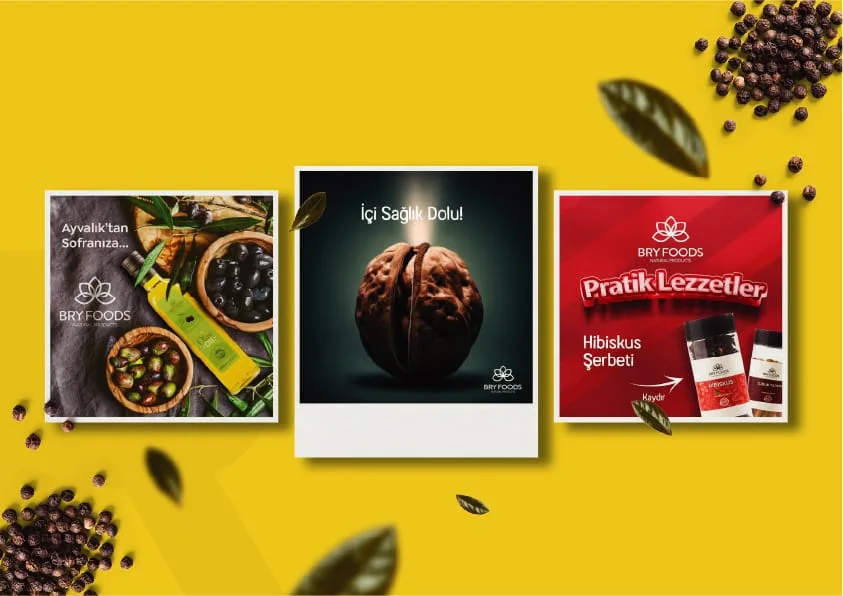 BRYFOODS proje görseli