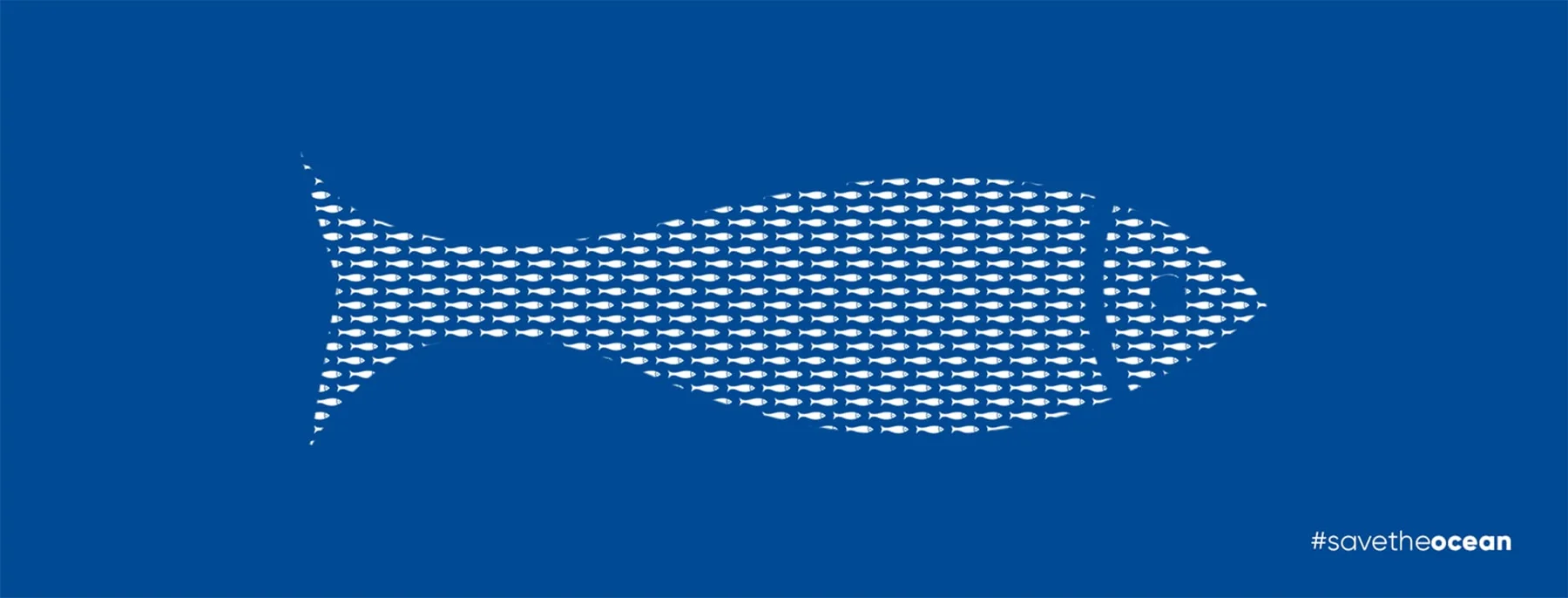 Pınar Fish proje görseli